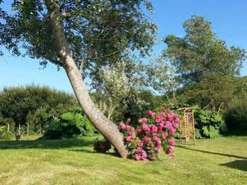 La Roche Du Marais 2* Omonville-la-Petite
